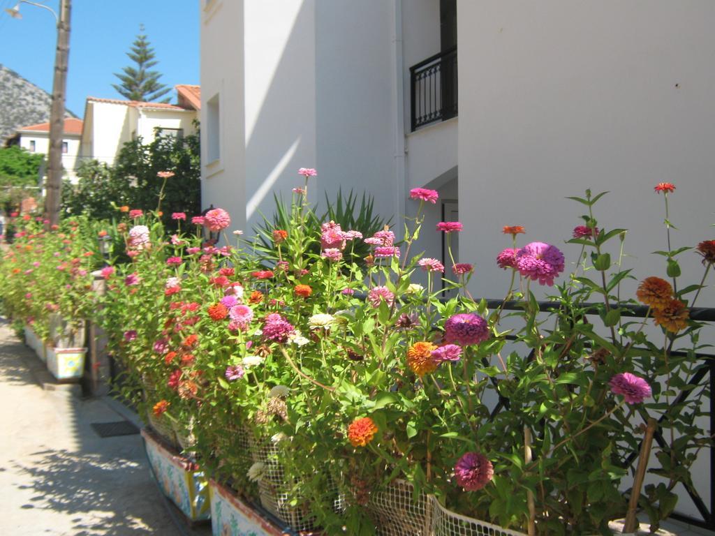 فندق Friderica House بوروس الغرفة الصورة