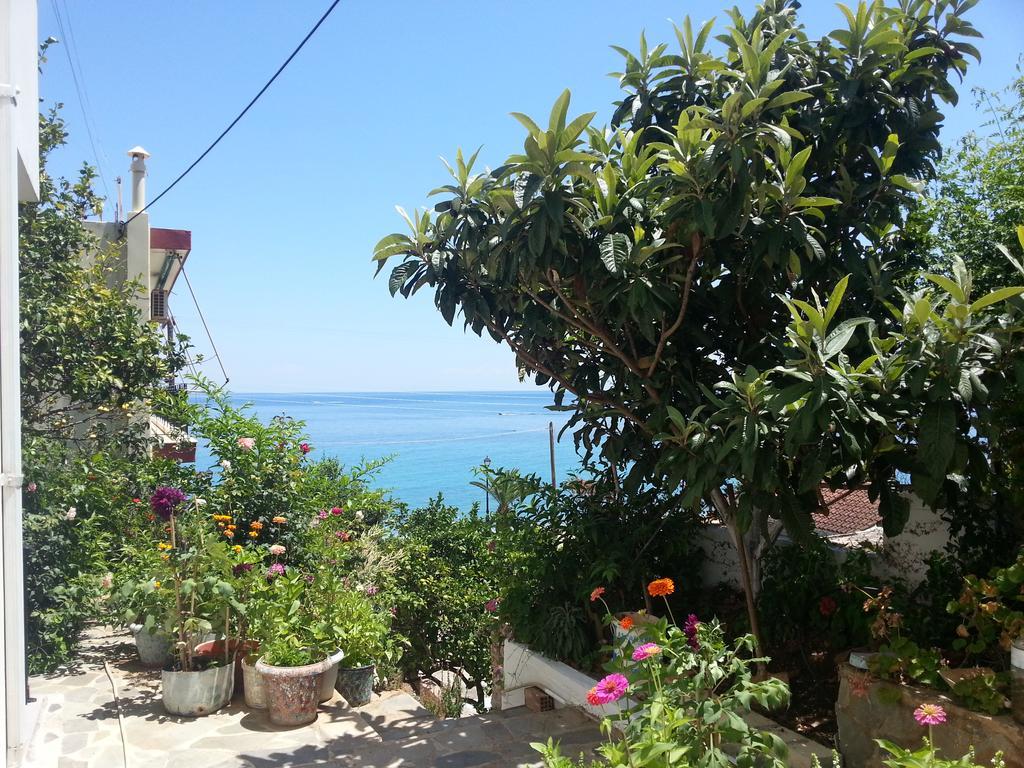 فندق Friderica House بوروس المظهر الخارجي الصورة